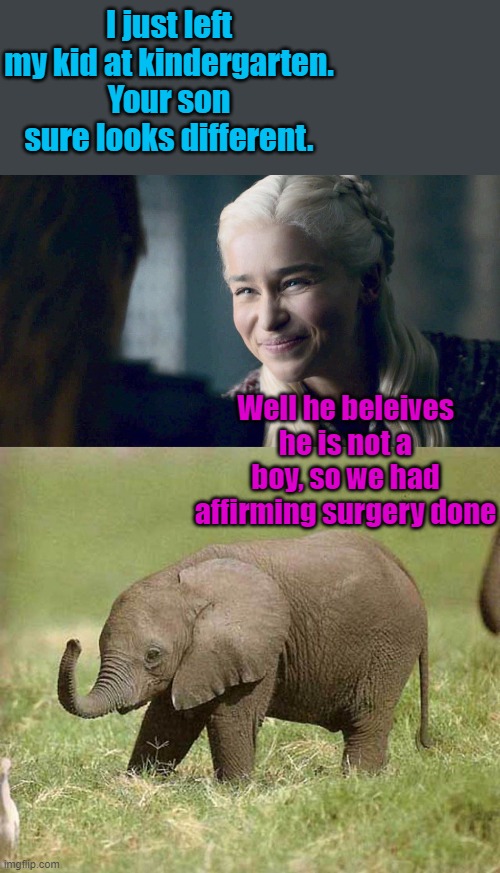 And if he decides later he's a giraffe, we get that surgery for half price. | I just left my kid at kindergarten. Your son sure looks different. Well he beleives he is not a boy, so we had affirming surgery done | image tagged in mother of dragons,baby elephant | made w/ Imgflip meme maker