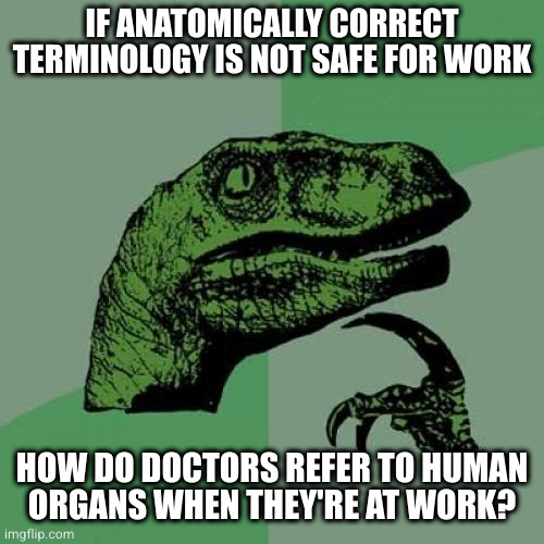 Philosoraptor Meme | IF ANATOMICALLY CORRECT TERMINOLOGY IS NOT SAFE FOR WORK; HOW DO DOCTORS REFER TO HUMAN
ORGANS WHEN THEY'RE AT WORK? | image tagged in memes,philosoraptor | made w/ Imgflip meme maker