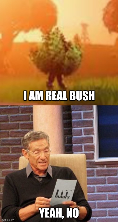 bushy boi | I AM REAL BUSH; YEAH, NO | image tagged in memes,maury lie detector,fortnite bush | made w/ Imgflip meme maker