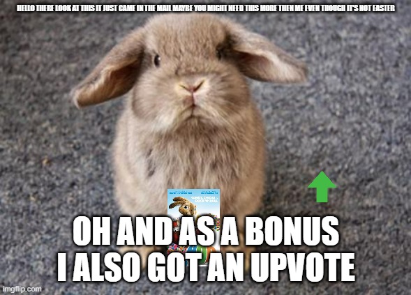 nice bunny | HELLO THERE LOOK AT THIS IT JUST CAME IN THE MAIL MAYBE YOU MIGHT NEED THIS MORE THEN ME EVEN THOUGH IT'S NOT EASTER; OH AND AS A BONUS I ALSO GOT AN UPVOTE | image tagged in rabbit,bunnies,universal studios | made w/ Imgflip meme maker