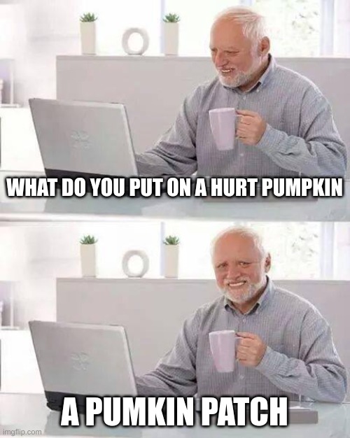 Pumkins | WHAT DO YOU PUT ON A HURT PUMPKIN; A PUMKIN PATCH | image tagged in memes,hide the pain harold | made w/ Imgflip meme maker