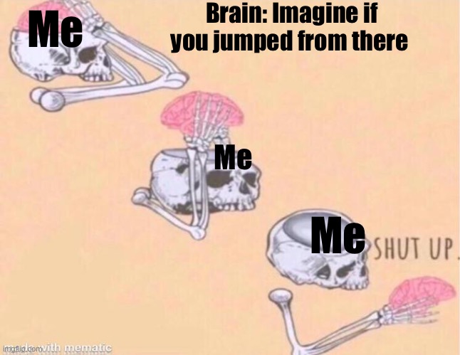 Why tf |  Brain: Imagine if you jumped from there; Me; Me; Me | image tagged in skeleton shut up meme,never gonna give you up,never gonna let you down,never gonna run around,and desert you,mental illness | made w/ Imgflip meme maker