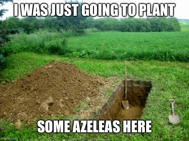 Open Grave | I WAS JUST GOING TO PLANT SOME AZALEAS HERE | image tagged in open grave | made w/ Imgflip meme maker