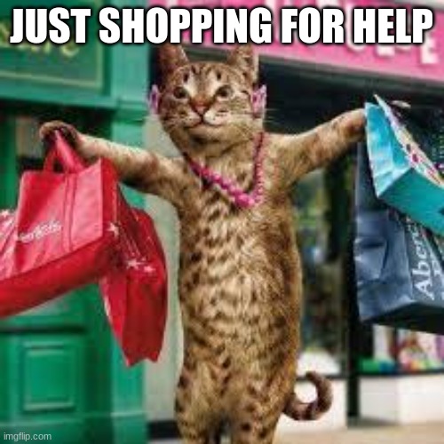 Cat shopping | JUST SHOPPING FOR HELP | image tagged in cat shopping | made w/ Imgflip meme maker