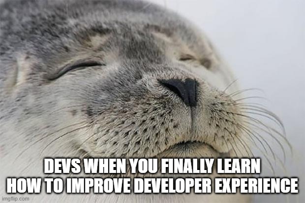 Satisfied Seal Meme | DEVS WHEN YOU FINALLY LEARN HOW TO IMPROVE DEVELOPER EXPERIENCE | image tagged in memes,satisfied seal | made w/ Imgflip meme maker