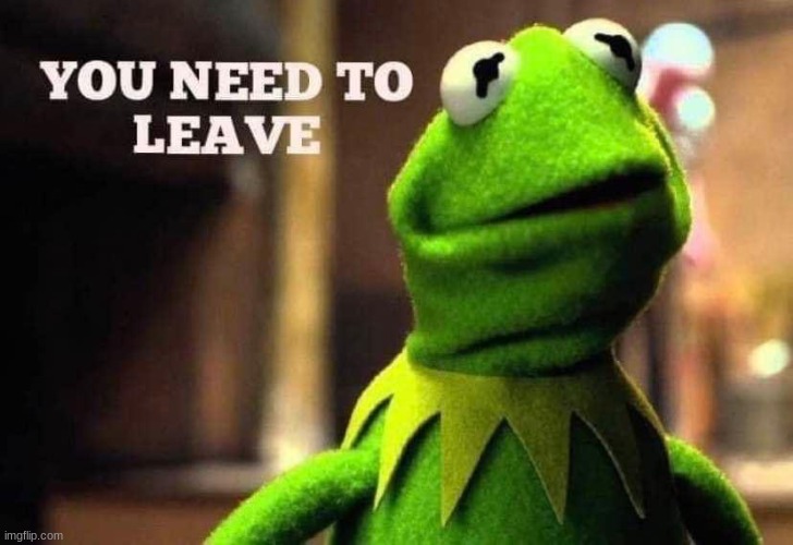 Kermit you need to leave | image tagged in kermit you need to leave | made w/ Imgflip meme maker