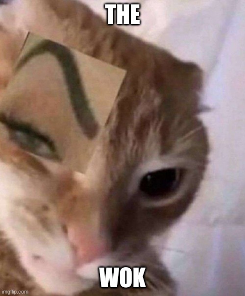 Cat with Defined Brows | THE; WOK | image tagged in cat with defined brows | made w/ Imgflip meme maker