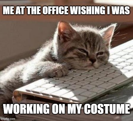 tired cat | ME AT THE OFFICE WISHING I WAS; WORKING ON MY COSTUME | image tagged in tired cat,wishing,cosplay,costume,project,sad | made w/ Imgflip meme maker