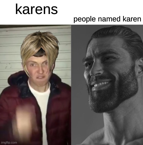 so true | people named karen; karens | image tagged in average fan vs average enjoyer,karen,karens | made w/ Imgflip meme maker