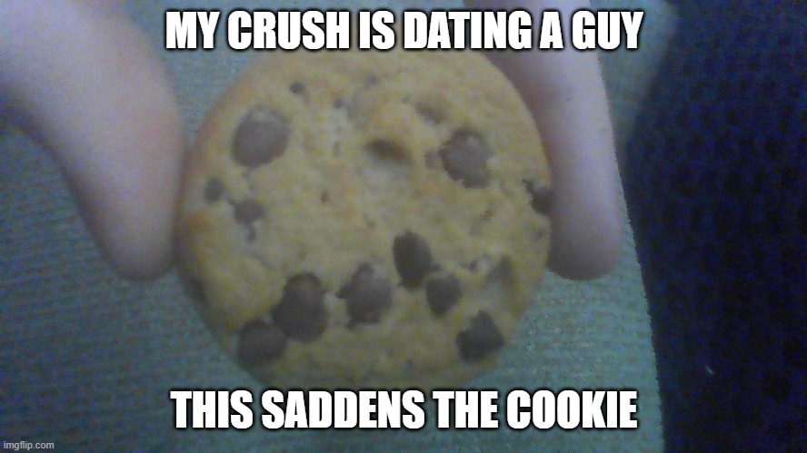 sad cookie |  MY CRUSH IS DATING A GUY; THIS SADDENS THE COOKIE | image tagged in sad,cookie | made w/ Imgflip meme maker
