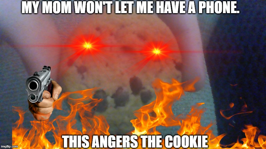 mad cookie | MY MOM WON'T LET ME HAVE A PHONE. THIS ANGERS THE COOKIE | image tagged in cookie | made w/ Imgflip meme maker