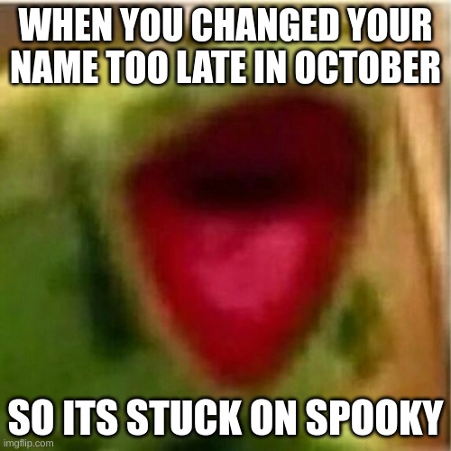 I have to be Spooky_Static for another few weeks ;-; | WHEN YOU CHANGED YOUR NAME TOO LATE IN OCTOBER; SO ITS STUCK ON SPOOKY | image tagged in ahhhhhhhhhhhhh | made w/ Imgflip meme maker