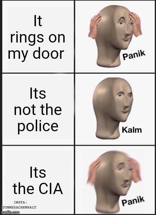 Oh no | It rings on my door; Its not the police; Its the CIA; INSTA: DUMMESACHENHALT | image tagged in memes,panik kalm panik | made w/ Imgflip meme maker