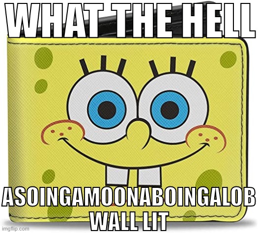 WHAT THE HELL ASOINGAMOONABOINGALOB WALL LIT | image tagged in what the hell asoingamoonaboingalob wall lit | made w/ Imgflip meme maker