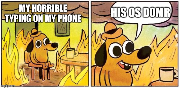 lol | MY HORRIBLE TYPING ON MY PHONE HIS OS DOMR | image tagged in this is fine blank | made w/ Imgflip meme maker
