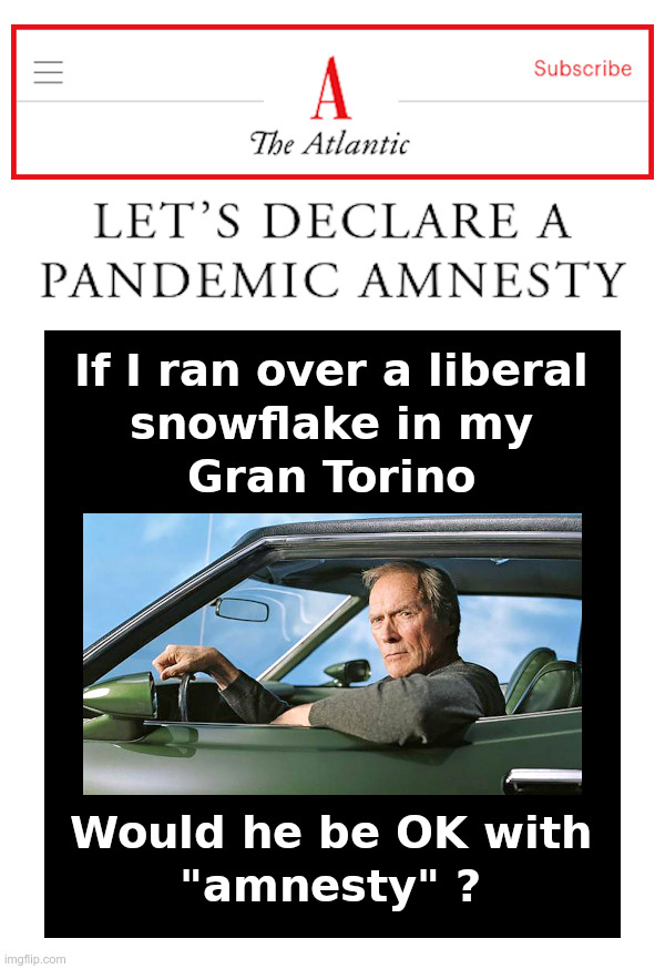 Amnesty? I Don't Think So | image tagged in clint eastwood,clint eastwood gran torino,atlantic,amnesty,liberal,snowflake | made w/ Imgflip meme maker