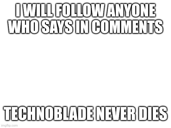 Technoblade never dies | I WILL FOLLOW ANYONE WHO SAYS IN COMMENTS; TECHNOBLADE NEVER DIES | image tagged in technoblade | made w/ Imgflip meme maker