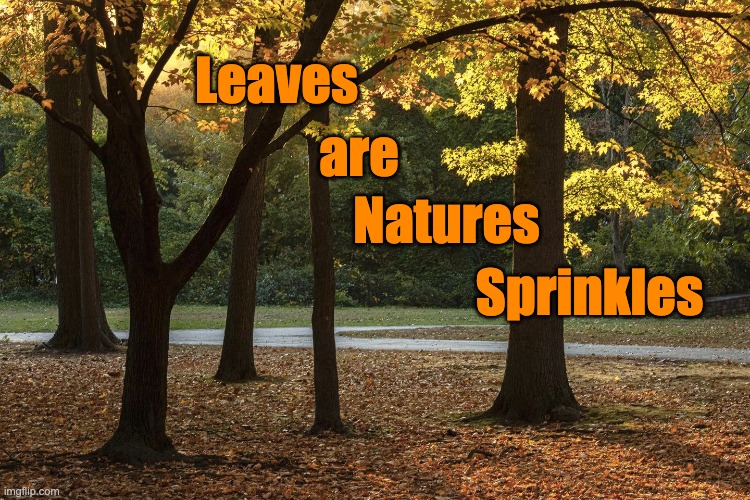 Leaves are Natures Sprinkles |  Leaves; are; Natures; Sprinkles | image tagged in leaves,nature,sprinkles,beauty,fall | made w/ Imgflip meme maker