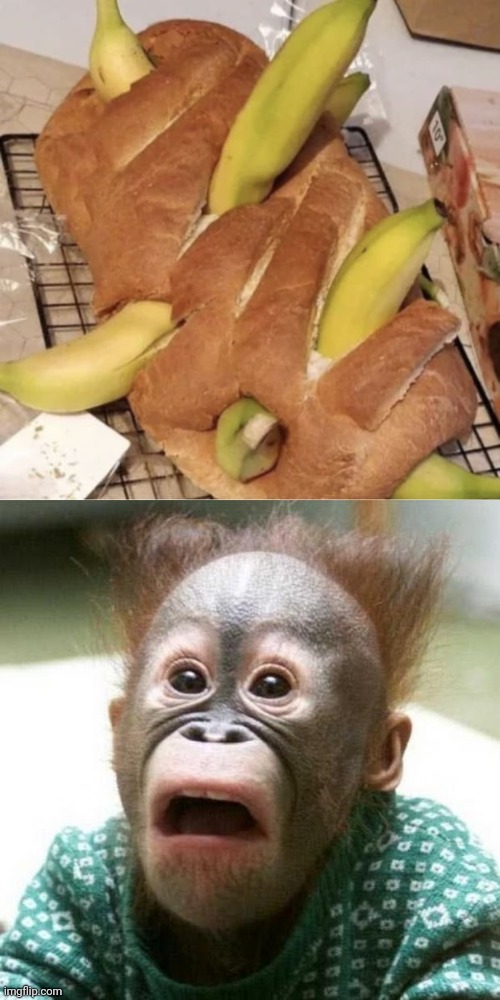 Cursed banana bread | image tagged in shocked monkey,cursed image,banana,bread,bananas,memes | made w/ Imgflip meme maker