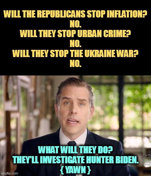 Your tax dollars at work | WILL THE REPUBLICANS STOP INFLATION?
NO.
WILL THEY STOP URBAN CRIME?
NO.
WILL THEY STOP THE UKRAINE WAR?
NO. WHAT WILL THEY DO?
THEY'LL INVESTIGATE HUNTER BIDEN.
{ YAWN } | image tagged in hunter biden,inflation,crime,ukraine,republicans,incompetence | made w/ Imgflip meme maker