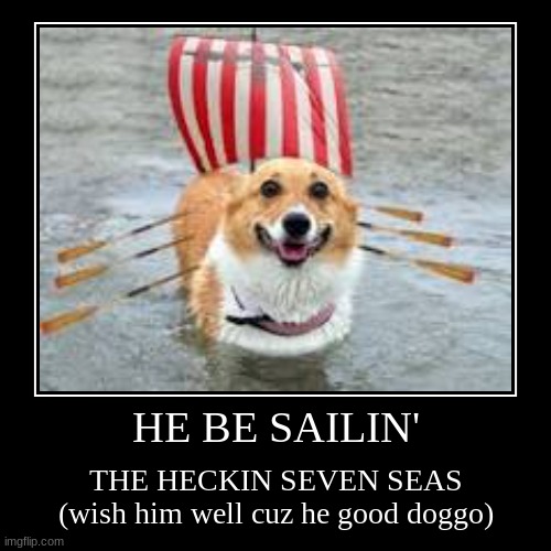 corgo ship to make your day just a bit better (i know this is the cats stream not dogs) | image tagged in funny,demotivationals | made w/ Imgflip demotivational maker