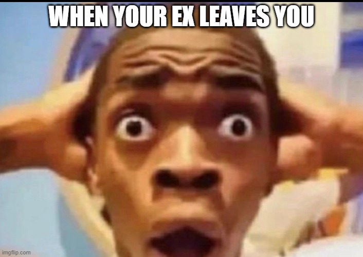 WHYYYYY | WHEN YOUR EX LEAVES YOU | image tagged in whyyyyy | made w/ Imgflip meme maker