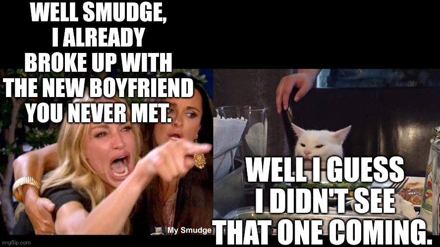 WELL SMUDGE, I ALREADY BROKE UP WITH THE NEW BOYFRIEND YOU NEVER MET. WELL I GUESS I DIDN'T SEE THAT ONE COMING. | image tagged in smudge the cat | made w/ Imgflip meme maker