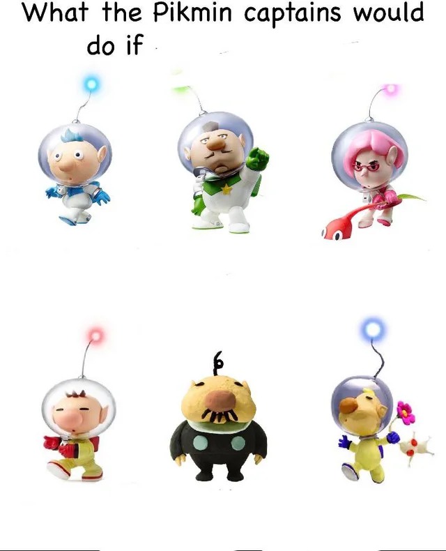 What would the pikmin captains do if Blank Meme Template
