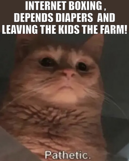 ONLY IF YOU COULD SEE HOW THANKFUL THOSE PEOPLE REALLY ARE! | INTERNET BOXING , DEPENDS DIAPERS  AND LEAVING THE KIDS THE FARM! | image tagged in cat pathetic,meme | made w/ Imgflip meme maker