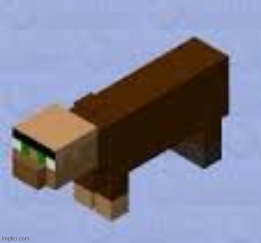 e | image tagged in e | made w/ Imgflip meme maker
