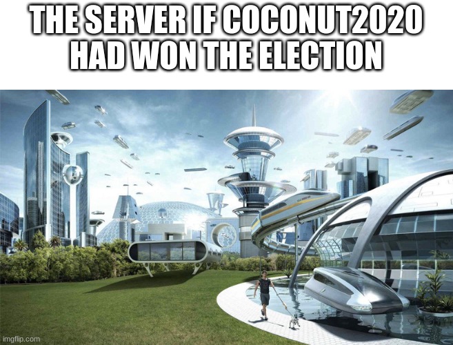 maximum creativity | THE SERVER IF COCONUT2020 HAD WON THE ELECTION | image tagged in the future world if | made w/ Imgflip meme maker