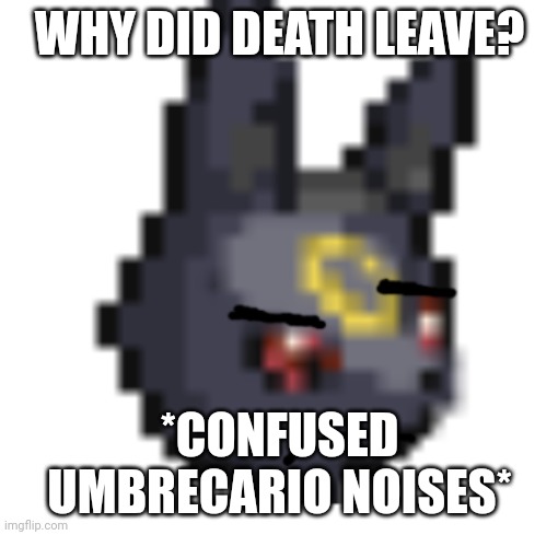 ... | WHY DID DEATH LEAVE? *CONFUSED UMBRECARIO NOISES* | image tagged in umbrecario not amused | made w/ Imgflip meme maker