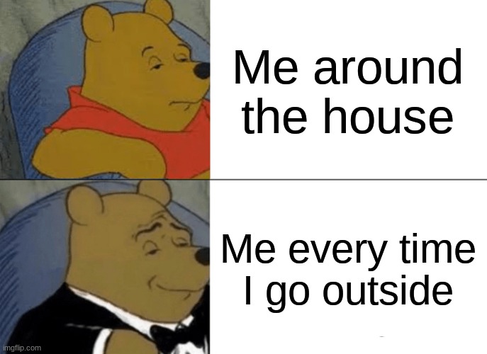 tru tho | Me around the house; Me every time I go outside | image tagged in memes,tuxedo winnie the pooh | made w/ Imgflip meme maker