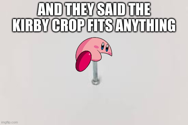 I somehow did it | AND THEY SAID THE KIRBY CROP FITS ANYTHING | image tagged in kirby watermelon crop | made w/ Imgflip meme maker