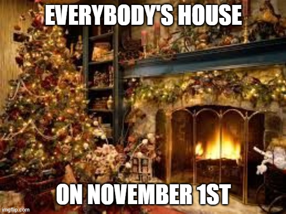 Christmas Decor | EVERYBODY'S HOUSE; ON NOVEMBER 1ST | image tagged in christmas decor | made w/ Imgflip meme maker