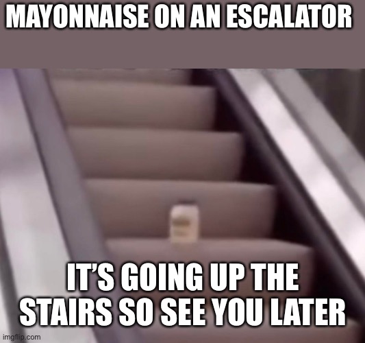 Mayonnaise On An Escalator | MAYONNAISE ON AN ESCALATOR IT’S GOING UP THE STAIRS SO SEE YOU LATER | image tagged in mayonnaise on an escalator | made w/ Imgflip meme maker