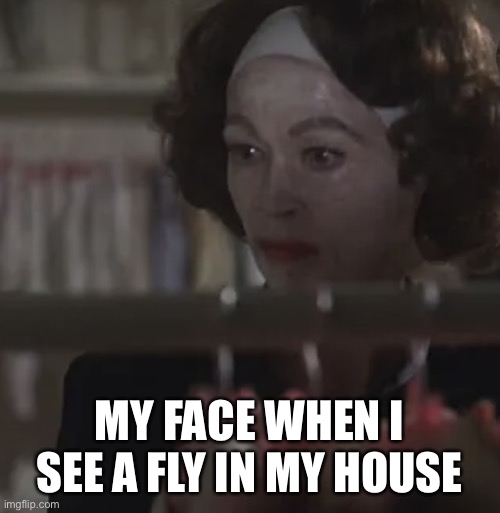 Disbelief | MY FACE WHEN I SEE A FLY IN MY HOUSE | image tagged in disbelief,wtf,you cant be serious | made w/ Imgflip meme maker