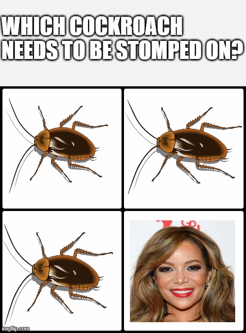 Sonny Hostin  of the view called white Women Cockroaches. | WHICH COCKROACH NEEDS TO BE STOMPED ON? | image tagged in blank drake format,the view,cockroaches,black,white | made w/ Imgflip meme maker