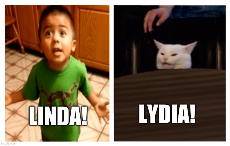  LYDIA! LINDA! | image tagged in listen linda,smudge the cat,you're doing it wrong,listen,debate,who would win | made w/ Imgflip meme maker