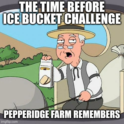 Pepperidge Farm Remembers Meme | THE TIME BEFORE ICE BUCKET CHALLENGE PEPPERIDGE FARM REMEMBERS | image tagged in memes,pepperidge farm remembers | made w/ Imgflip meme maker