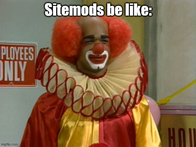 homey the clown | Sitemods be like: | image tagged in homey the clown | made w/ Imgflip meme maker