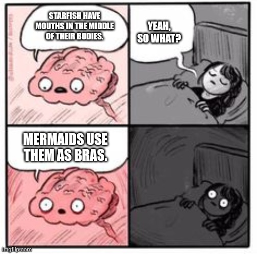 I just realized this rn... | YEAH, SO WHAT? STARFISH HAVE MOUTHS IN THE MIDDLE OF THEIR BODIES. MERMAIDS USE THEM AS BRAS. | image tagged in brain at night be like | made w/ Imgflip meme maker