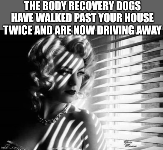 THE BODY RECOVERY DOGS HAVE WALKED PAST YOUR HOUSE TWICE AND ARE NOW DRIVING AWAY | image tagged in funny memes | made w/ Imgflip meme maker