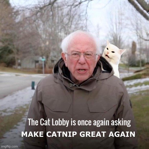 Obey The Lobbyists | MAKE CATNIP GREAT AGAIN | image tagged in bernie i am once again asking for your support,vote,upvote,politics,corruption | made w/ Imgflip meme maker