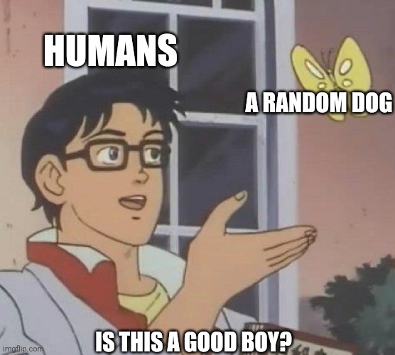 Is he a good boy or girl? May we never know. | HUMANS; A RANDOM DOG; IS THIS A GOOD BOY? | image tagged in memes,is this a pigeon | made w/ Imgflip meme maker