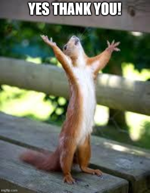 Praise Squirrel | YES THANK YOU! | image tagged in praise squirrel | made w/ Imgflip meme maker