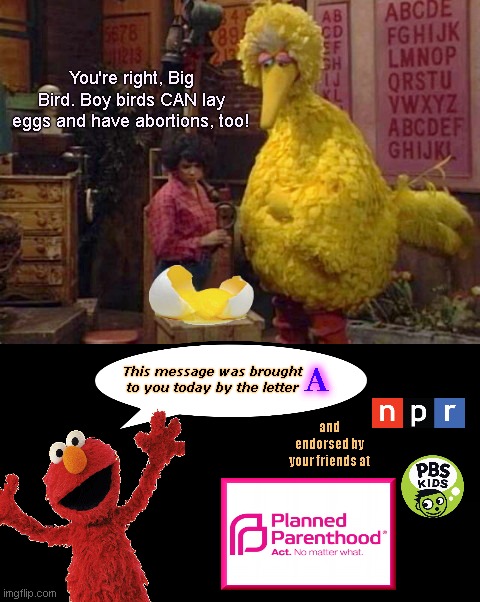 Next epic fail to watch for after National Public Radio airs disgusting abortion audio | You're right, Big Bird. Boy birds CAN lay eggs and have abortions, too! This message was brought to you today by the letter; A; and endorsed by your friends at | image tagged in npr,abortion propaganda,transgender lies,political correctness,sesame street,satire | made w/ Imgflip meme maker