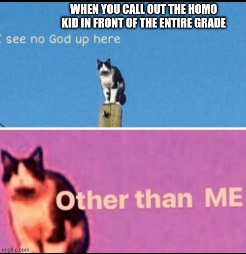 or ignore them there is that | WHEN YOU CALL OUT THE HOMO KID IN FRONT OF THE ENTIRE GRADE | image tagged in i see no god up here other than me | made w/ Imgflip meme maker