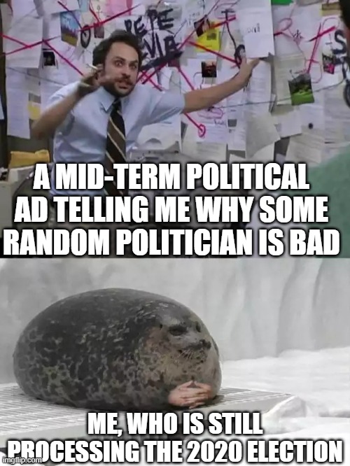 Political Ads be like | A MID-TERM POLITICAL AD TELLING ME WHY SOME RANDOM POLITICIAN IS BAD; ME, WHO IS STILL PROCESSING THE 2020 ELECTION | image tagged in man explaining to seal | made w/ Imgflip meme maker