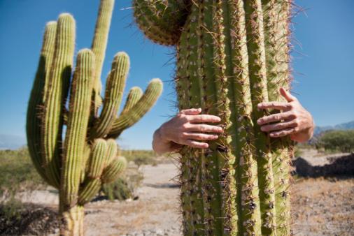 Cactus Love Blank Meme Template